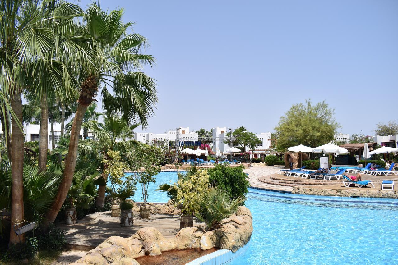 Studio In Delta Sharm Διαμέρισμα Εξωτερικό φωτογραφία